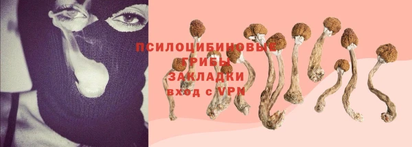 кокс Белокуриха