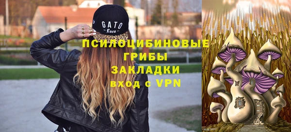 кокс Белокуриха