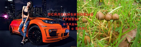 кокс Белокуриха