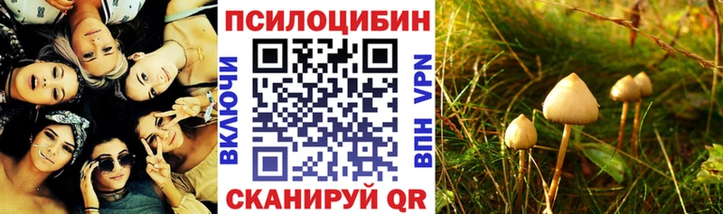 Галлюциногенные грибы GOLDEN TEACHER  где можно купить   мега онион  Верхний Уфалей 
